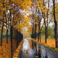 . :: РИТА ЛЕВКОВА