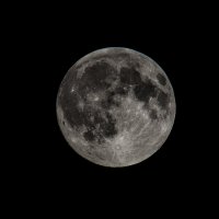 Урожайная Луна.(первое осенние суперлуние 7.10.2025) :: Sergey (Apg)