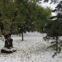 Парк. По дороге на остановку :: Андрей Макурин