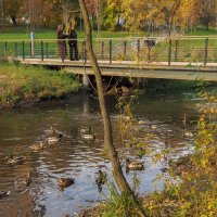 ***** :: юрий поляков