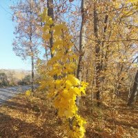 Талгар. :: Murat Bukaev 