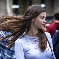 Ветер. :: Александр 