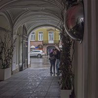 Дождь :: Александр 