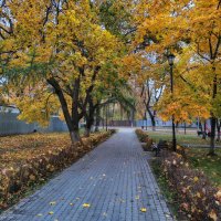 Александров / Сквер / Золотая осень :: Денис Бочкарёв Александров / Сквер / Золотая осень :: Денис Бочкарёв