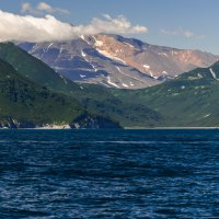 ... :: Жора Житников