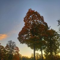 Рассвет :: Сапсан 