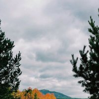 Осенний день :: Георгиевич Осенний день :: Георгиевич