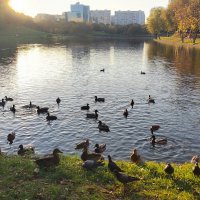 Парк  в  Москве. Автор  Саша :: Фотогруппа Весна