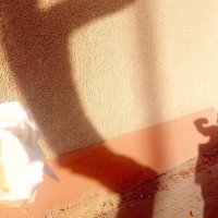 13 ОПЕН (489) :: OPEN WAYS ALL 13 ОПЕН (489) :: OPEN WAYS ALL