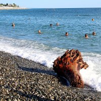 После штормовой погоды :: Татьяна Лютаева