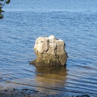 на Волге :: Елена Шаламова