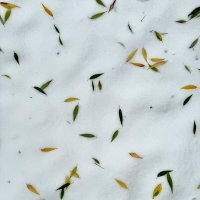 Зима :: николай 