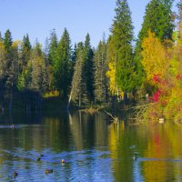 Октябрь - речка Подборенка :: Владимир Максимов