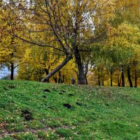 Кроты пришли на зимовку,,,, :: Анатолий Колосов