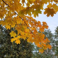 ,,, :: Сергей Тимоновский ,,, :: Сергей Тимоновский