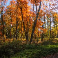 *** :: Сергей Григорьев