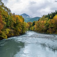 Река Белая . Кавказский заповедник кордон "Гузерипль", Адыгея :: Дина Евсеева