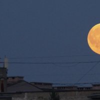 Суперлуние :: Tanya Nikorovskaya