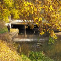 Осенний Сюжет :: юрий поляков