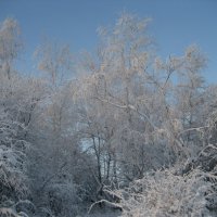 Зима :: Anna Ivanova