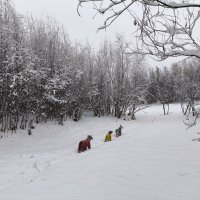 Зимние прогулки :: Anna Ivanova