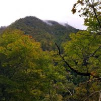 На границе с Абхазией :: Tata Wolf