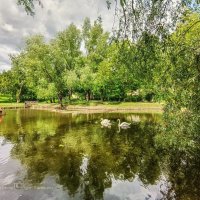 Леоновский пруд :: Игорь Сарапулов