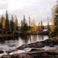 природа :: Ольга Cоломатина