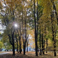 Октябрь :: Мария - Maria