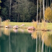 «Про ОСЕНЬ…» :: Арина Невская