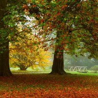 По парку бродит осень :: Юрий. Шмаков