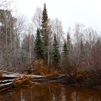 Нигия :: Сергей Никифоров Нигия :: Сергей Никифоров