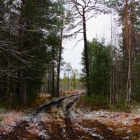 Пути :: Сергей Никифоров