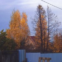 Золотая дачная осень. :: Игорь Солдаткин