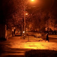 **** :: Владилен Панченко