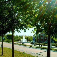 -------- :: Владимир 