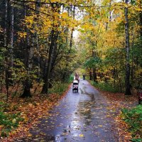 Осень года и весна жизни :: Андрей Лукьянов