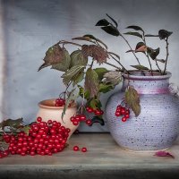 Калина :: Bosanat 