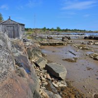 *** :: Александр Хаецкий