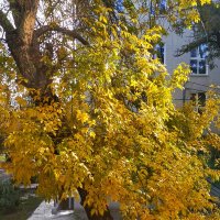 Осень 2025 :: Татьяна Пальчикова