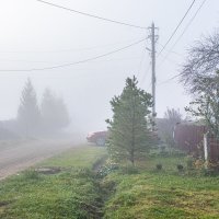 туман :: petyxov петухов