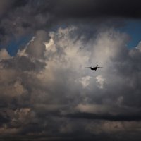 в грозу...... :: Сергей Серый