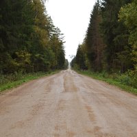 Просто дорога :: Олег Ховренков