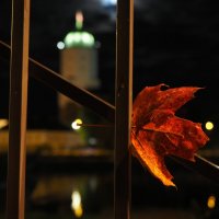 Однажды в Выборге. :: Магомед .