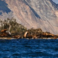 ... :: Жора Житников