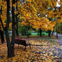 Золотая пора в городе :: Андрей Лукьянов