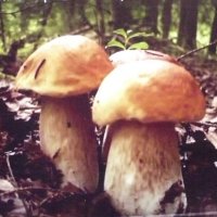 ВСТРЕЧА...:) :: Валерий Кокорев