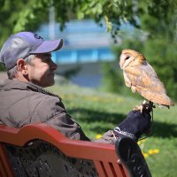 На прогулке :: Алексей Кадыков