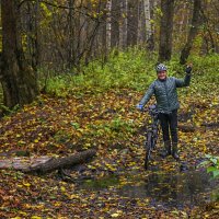 А не катнуть ли нам в осень :: Сергей Цветков