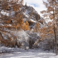 Золото и снег Алтая :: Sergey38 